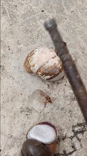 Create AMAZING Snail Shells from Scrap Metal in 5 Easy Steps #shorts #viralvideo #reels #art