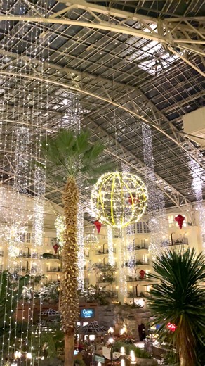 7.6K views · 128 reactions | CAN'T GET ENOUGH ✨✨ Gaylord Opryland Resort is the place to be this holiday season  | WZTV FOX 17 News, Nashville | Facebook