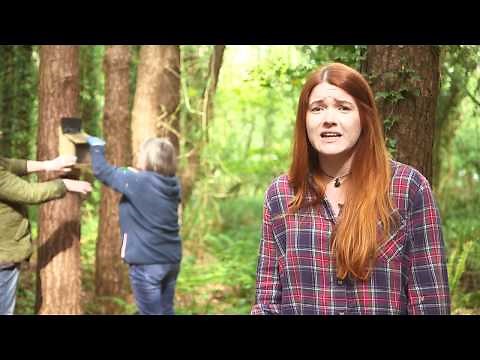 What is squirrel pox virus and how can you detect it?