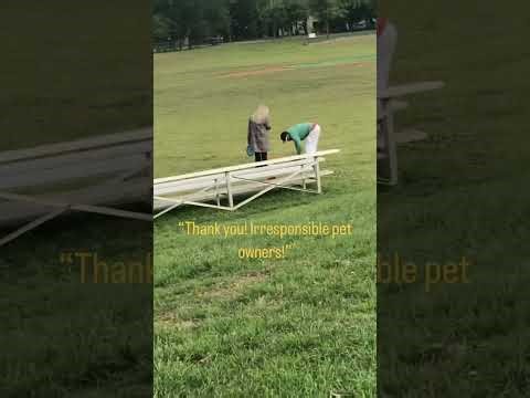 Off leash dog attacks my dog and gets pepper sprayed