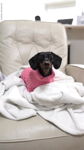 How to Call a Whale: Buttercup Starbox