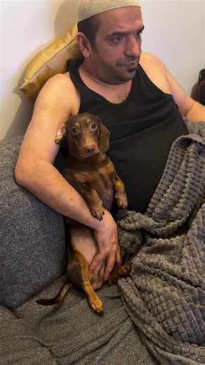 simin (@simin54589)’s videos with original sound - simin