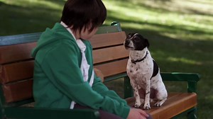 Vampire Dog - Movie Premiere - Discovery Kids Latin America