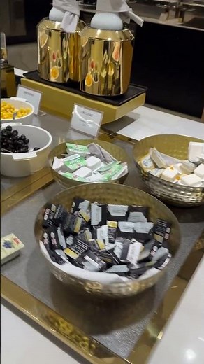 ウィーン国際空港 ラウンジ vienna international airport