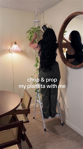 Pothos Plant Makeover: Tips for Thriving Growth