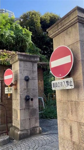 📍東京大学医学部附属病院 池之端門｜レンガ塀と蔦に囲まれた門からの風景散歩📍Ikebonata Gate, The University of Tokyo Hospital #東京散歩