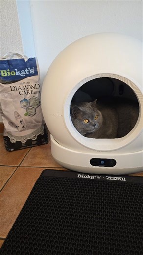 NIE wieder Katzenklo manuell reinigen! Die neue Biokats C1000 übernimmt aller für mich ! #katzentoilette #katzeneltern #smartpet #biokats # cattech #catsofinsta | Christine Heinrichs