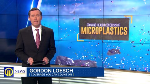 The growing health concerns of microplastics and what you can do to reduce your risks
