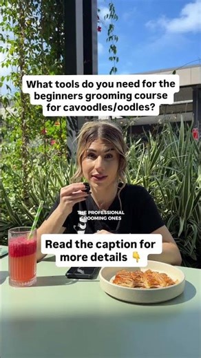 What tools do you actually need to groom your Cavoodle at home? 🐾✂️