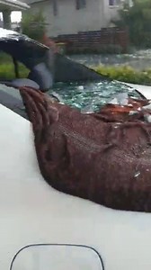 Oh dear... 😧 Paralympic archer Taymon Kenton-Smith arrived home from a training session to find the rear windshield of his car and his Springfield Lakes home damaged by large hail. 📷📹 Did you get any photos or videos? Shoot us a message: http://bit.ly/messageABCBrisbane ℹ️ Full storm coverage: https://ab.co/320EiCN 📹: Taymon Kenton-Smith | ABC Brisbane