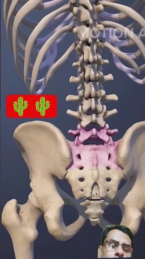 Functions of the L5-S1 Spinal Motion Segment #trending #shorts #shortsfeed #viral