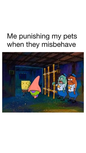 Motivational & Relatable on Instagram: "“If you can’t do the time, don’t do the crime” 🎬: SpongeBob SquarePants A square yellow sponge named SpongeBob SquarePants lives in a pineapple with his pet snail, Gary, in the city of Bikini Bottom on the floor of the Pacific Ocean. He works as a fry cook at the Krusty Krab. During his time off, SpongeBob has a knack for attracting trouble with his starfish best friend, Patrick. Arrogant octopus Squidward Tentacles, SpongeBob’s neighbor, dislikes SpongeB