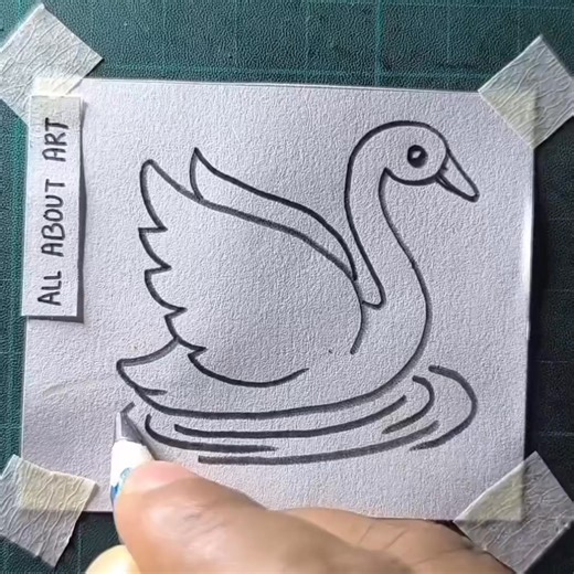How to draw a swan | All About Art