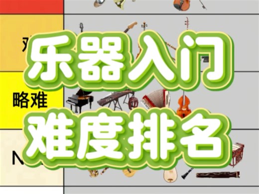 乐器入门难度排名