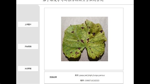 农作物病虫害识别系统 resnet50，vgg16，resnet34 深度学习 卷积神经网络【pytorch框架，python源码】