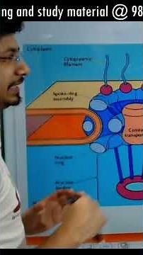 Unlocking the Secrets of Nuclear Pore Complexes