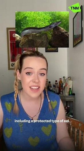 Why festival goers who take drugs should always pee in toilets