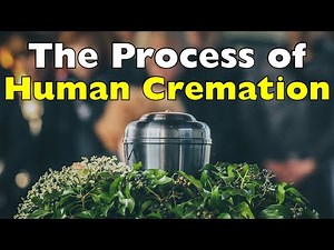A Scientific Breakdown: What Happens Inside the Cremation Chamber