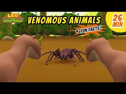 Venomous Animals - Goliath Birdeater Spider and more animal stories!
