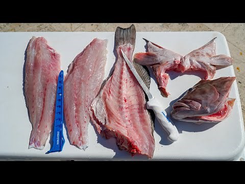 How To Breakdown a Whole Grouper