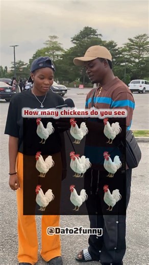 ONDOR SUNDAY IKPE on Instagram: "How many chickens do you see..! . . . . #vira #fypシ #quiz #chicken"