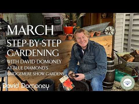 Easy March | Step-by-Step Gardening at Blue Diamond's Bridgemere Show Gardens | Episode 9