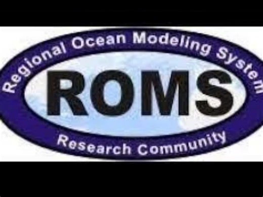 海象云课堂 ROMS区域海洋模式的理论与应用 OpenFOAM基础及大气和海洋仿真应用