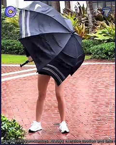 When wind wins 🌬️🙈 | Happy gardening