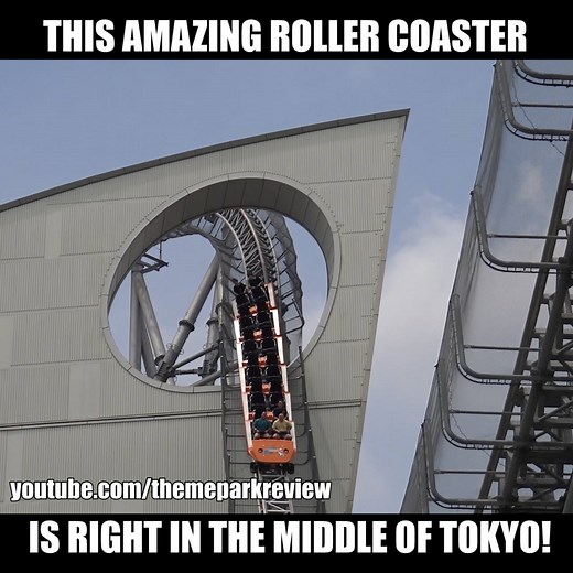 1.4M views · 1.5K reactions | Thunder Dolphin (yes, that's the name...