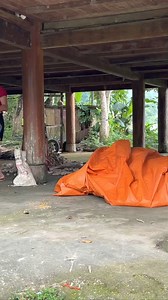 restoration,electric fan,repair,old fan,genius girl help boys in the village repair the broken electric fan,girl mechanical,girl restoration,machine repair girl,The Girl Who | Lý Thị Minh | Facebook