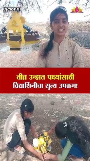 पक्ष्यांसाठी बनवली अनोखी घरटी | Buldhana | bird nest project | environmental news