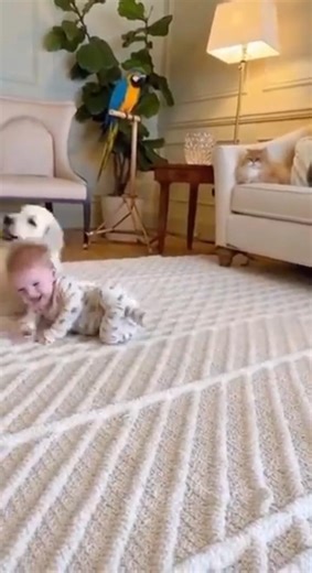 👉 😲 This Baby & Puppy Moment Is Too Cute to Ignore…! 🐶👶🔥 #usashorts #cutebaby #puppylove #usafunny