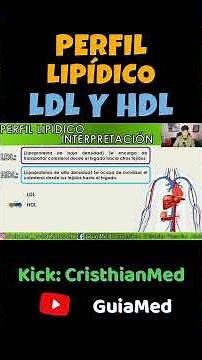 LIPID PROFILE (LDL and HDL) #medicine #cholesterol #health #clinical laboratory