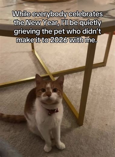 Grieving a Beloved Pet During the New Year