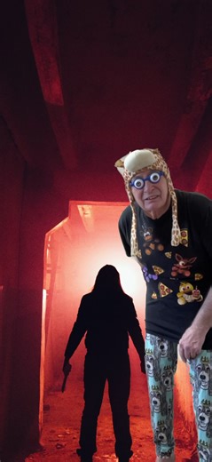 Five nights at Freddy’s; the safest place you can be | Five Night At Freddy's