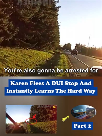 Karen's DUI Stop: Shocking Police Encounter