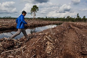 Is extinction ever a good thing?