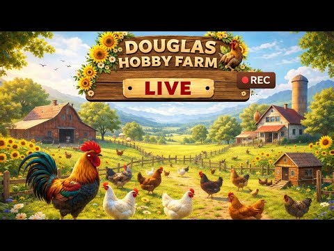 🐔Douglas Hobby Farm 🚨 LIVE 🌞 Cam 🦆