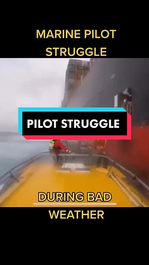everyday struggle for a marine pilot to on-board a ship. #pilot #sea #seaman #fy #fyp