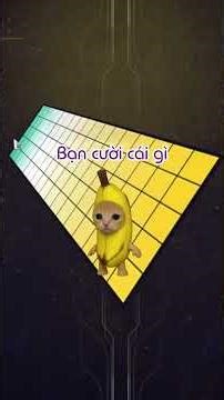 First scam #warframe