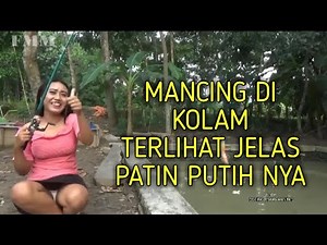 Mancing ambyar!!! mancing cantik kelihatan jelas patin putih nya