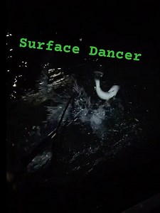 This Walleye Went Crazy at the Net!