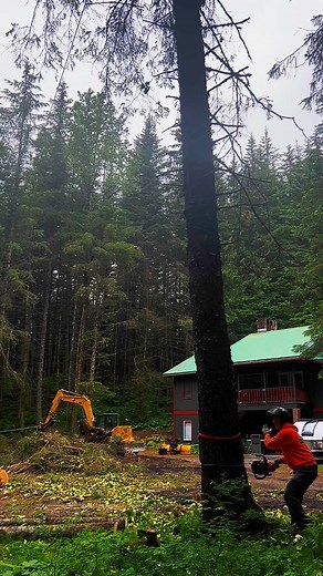 12 reactions | We felled some large trees in Seward with a little redirecting from the #Cat308 Excavator 望 #wheresthechainsawemoji #catexcavator #treefelling #treeservice #kenaipeninsula #timbertech #chainsaw | TimberTech Outdoor Services | Facebook