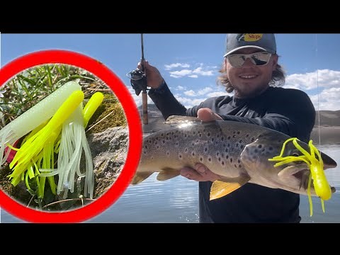 Tube Fishing for Trout: Ultimate Tips, Tricks, & Rigging