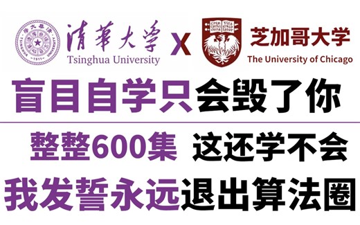 【比刷剧还上瘾！】力扣&芝加哥大学强强联合打造的顶级数据结构与算法教程！全集600集！全程干货，无废话！还学不会我永久退出算法圈！