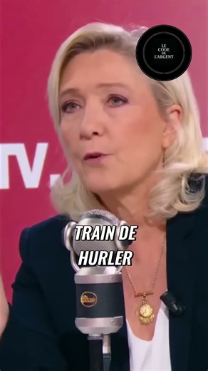 Shein: L'hypocrisie à l'Assemblée Nationale #shorts