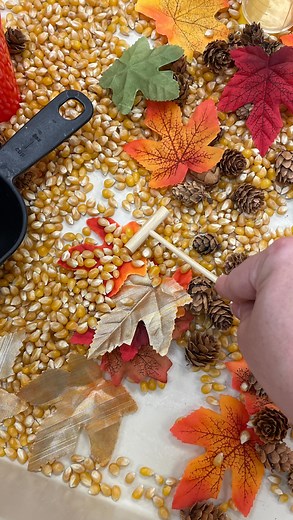 93 reactions · 17 comments | Want an easy fall sensory bin? Some...
