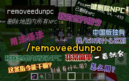 【指令】我的世界中国版独有指令/removeedunpc