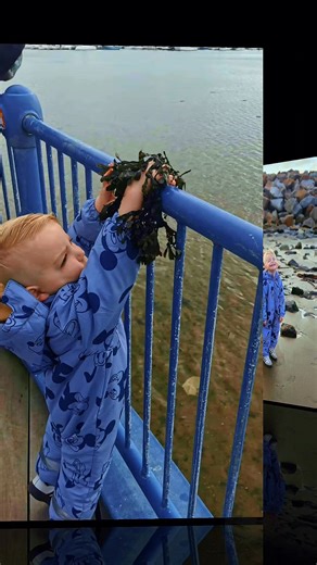 🌿 Half Term Happiness at Môr Wood Lodge! 🌊 We’ve just put together a fantastic video for our recent guests, using all the lovely photos they sent in from their week-long half term stay — and it’s safe to say they had an absolute blast! From coastal adventures to cozy lodge evenings, they really made the most of their time here. One thing that especially made us smile was seeing them go crabbing! 🦀 It’s something we’ve not yet done with our boys, but after seeing their fun we’re 100% inspired 