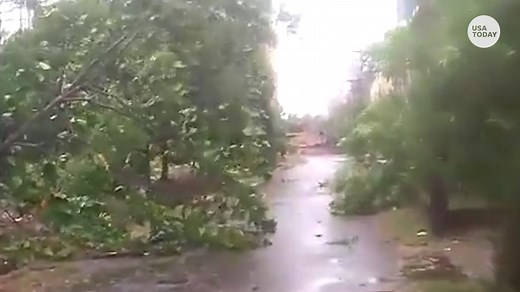 Cyclone Fani rips through India's eastern coast, killing at least 3